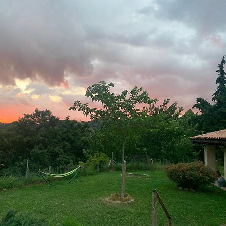 Agriturismo Il Covo Del Solengo Valtopina Εξωτερικό φωτογραφία