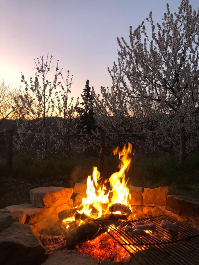 Agriturismo Il Covo Del Solengo Valtopina Εξωτερικό φωτογραφία