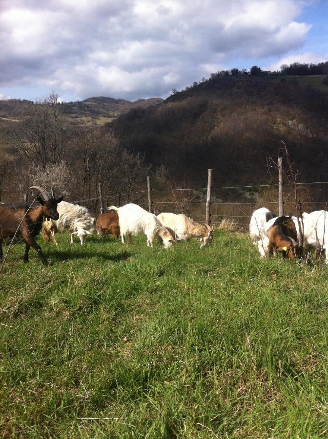 Agriturismo Il Covo Del Solengo Valtopina Εξωτερικό φωτογραφία