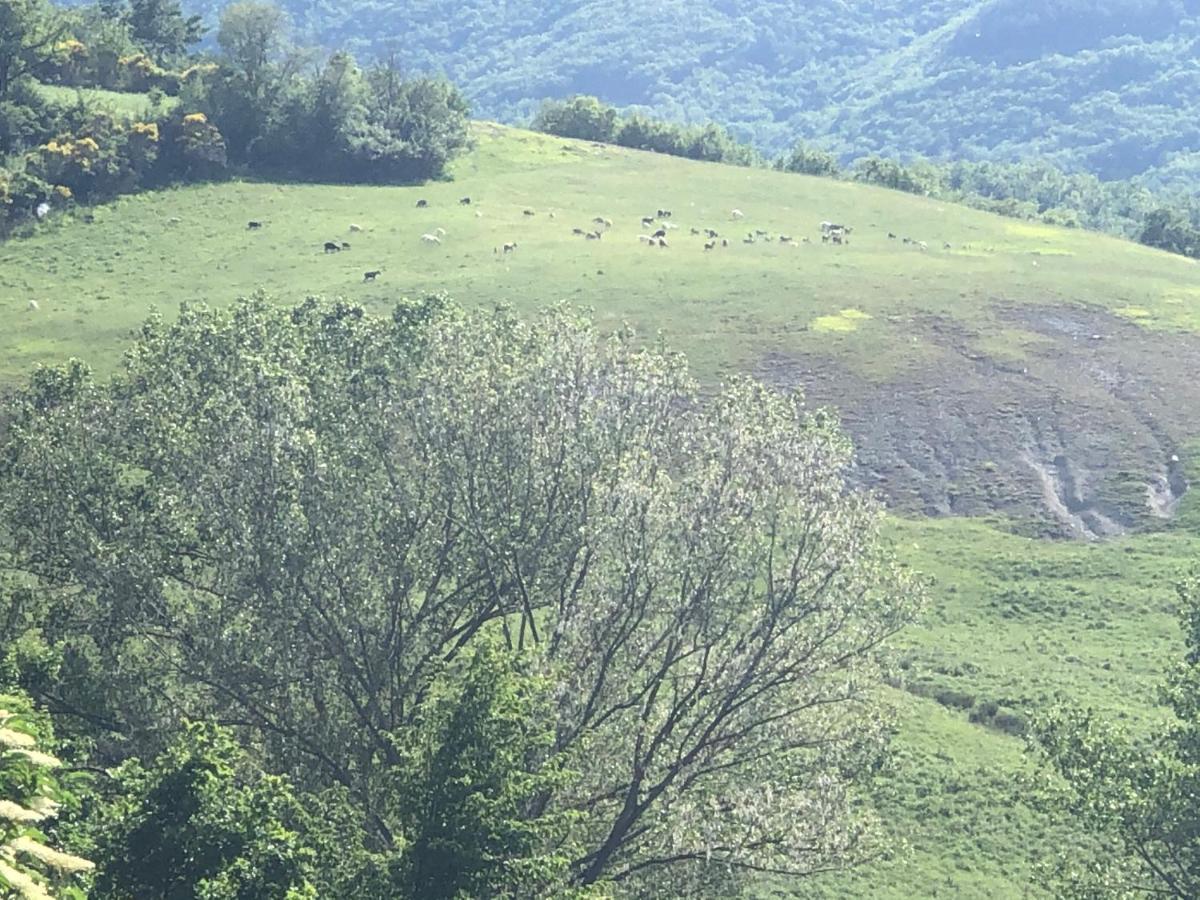 Agriturismo Il Covo Del Solengo Valtopina Εξωτερικό φωτογραφία