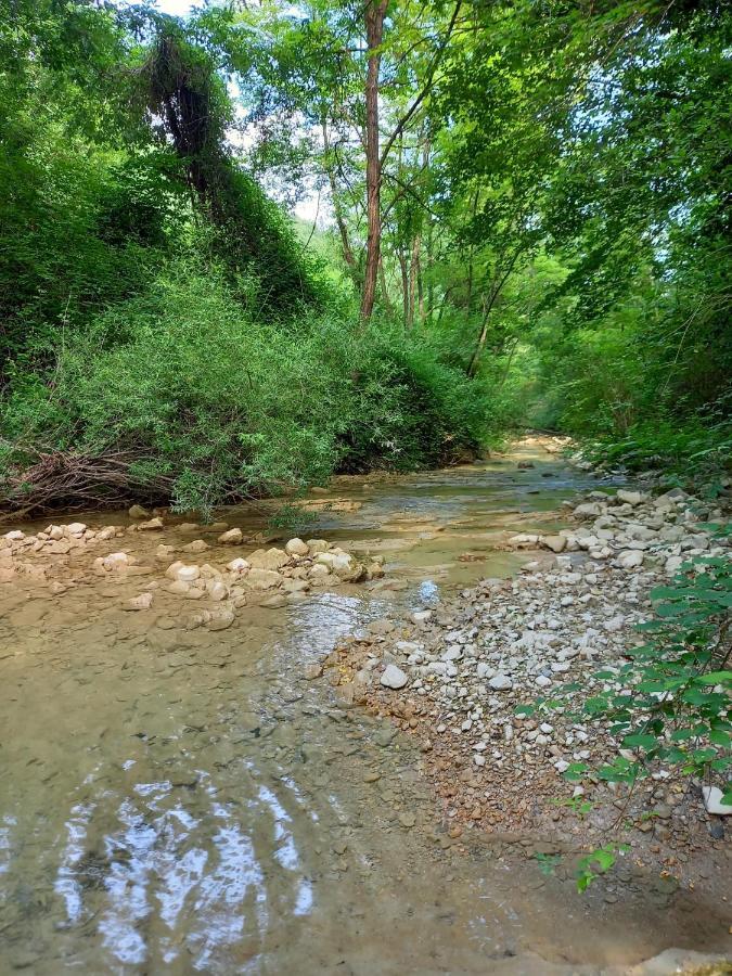 Agriturismo Il Covo Del Solengo Valtopina Εξωτερικό φωτογραφία