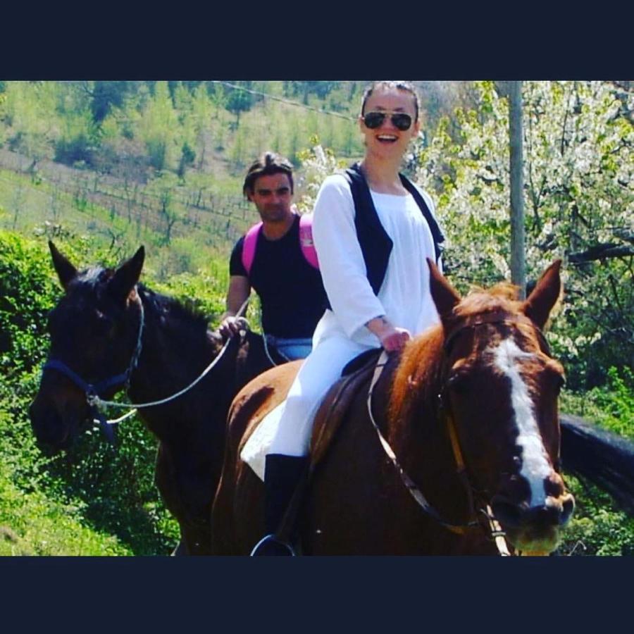 Agriturismo Il Covo Del Solengo Valtopina Εξωτερικό φωτογραφία