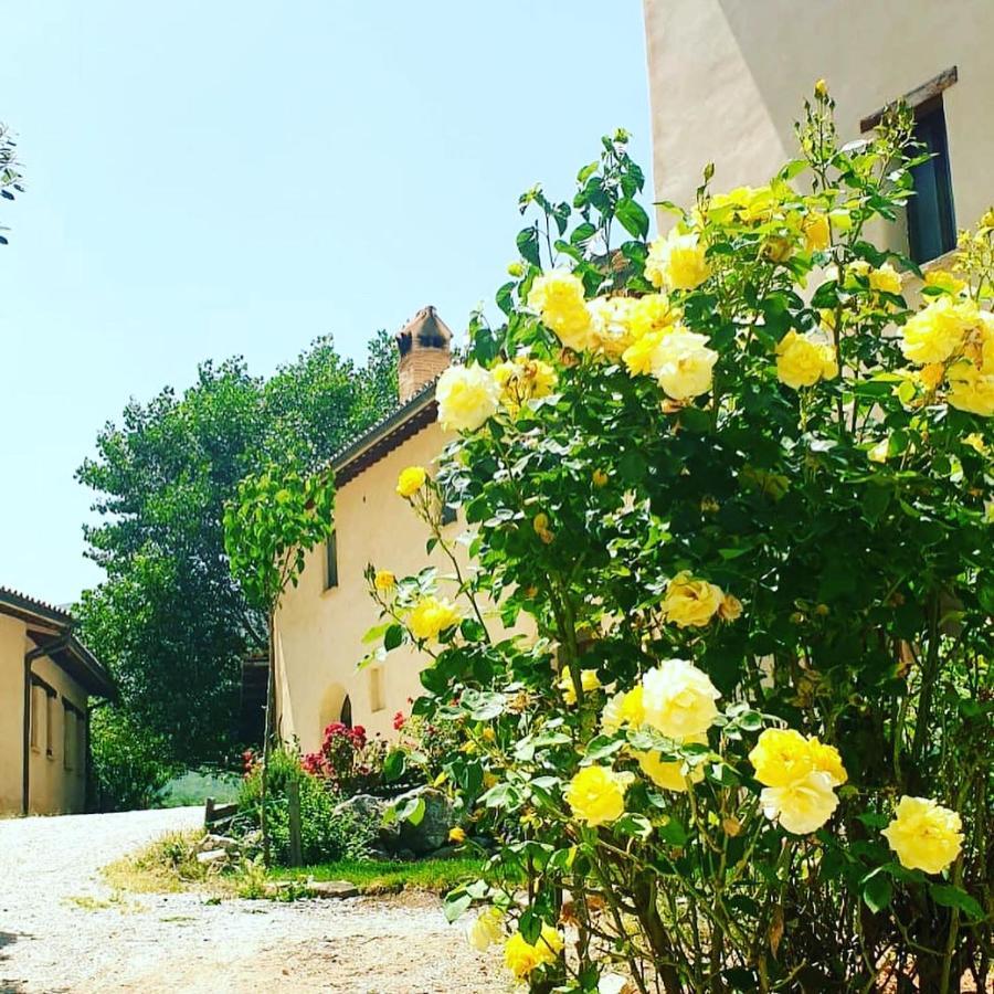Agriturismo Il Covo Del Solengo Valtopina Εξωτερικό φωτογραφία