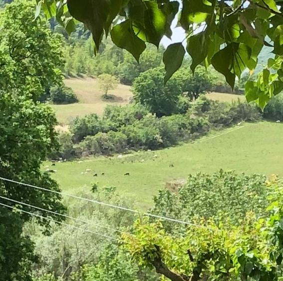 Agriturismo Il Covo Del Solengo Valtopina Εξωτερικό φωτογραφία