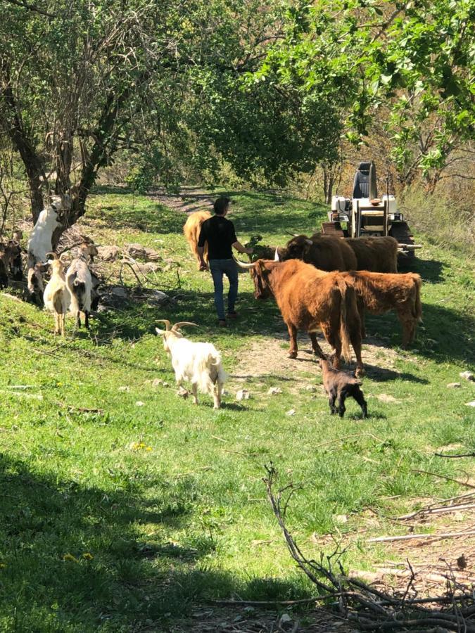 Agriturismo Il Covo Del Solengo Valtopina Εξωτερικό φωτογραφία