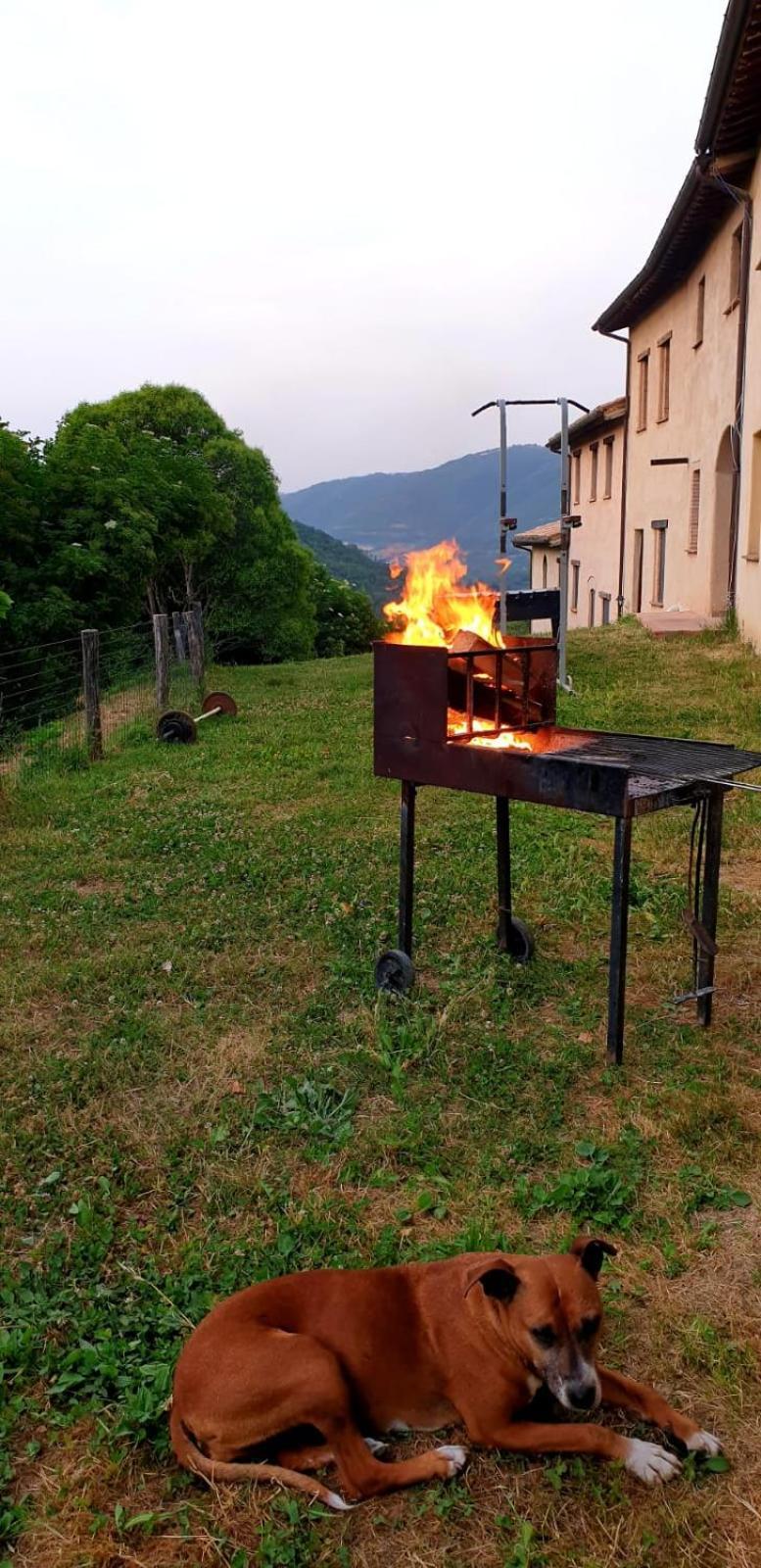 Agriturismo Il Covo Del Solengo Valtopina Εξωτερικό φωτογραφία