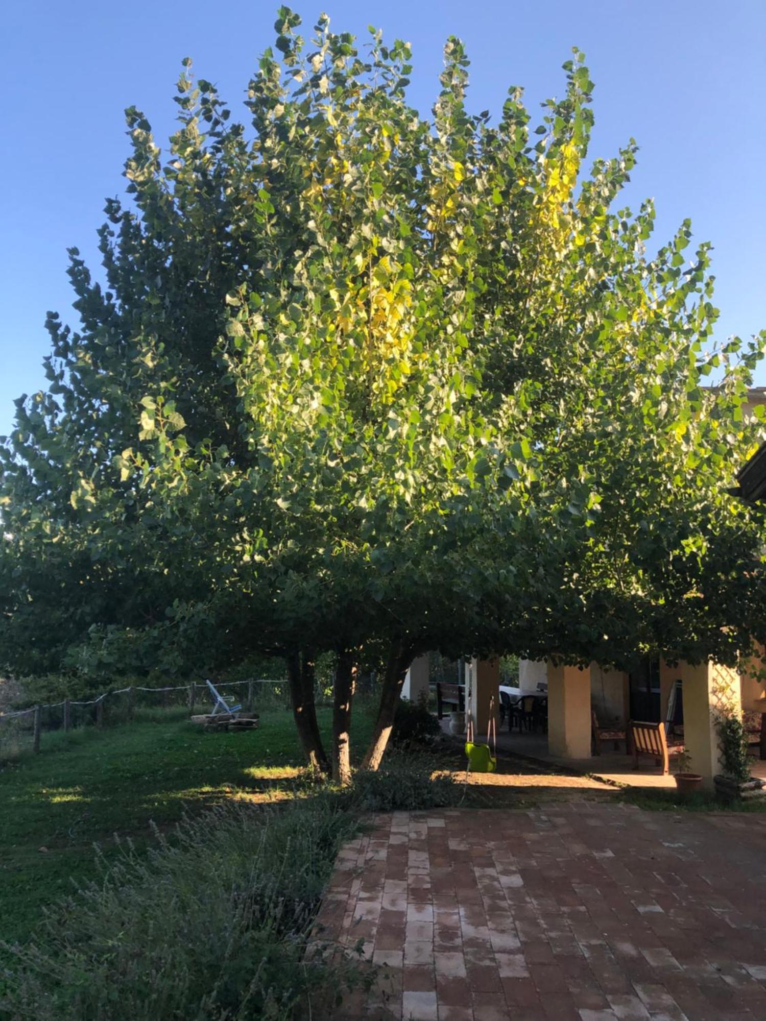 Agriturismo Il Covo Del Solengo Valtopina Εξωτερικό φωτογραφία